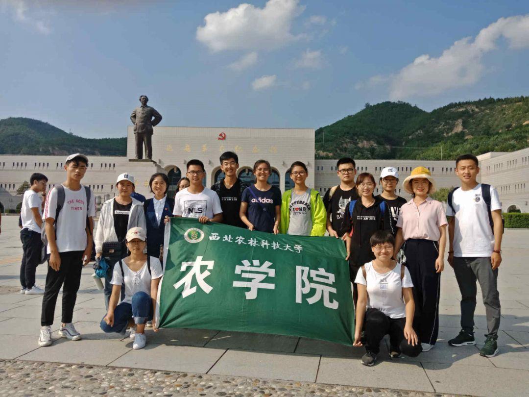 全民剧本大师内置菜单